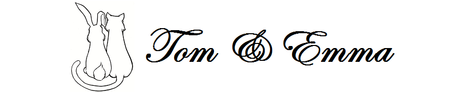 Header Image
